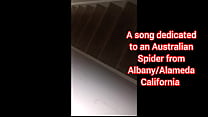 How I create parody songs(song dedicated to aussie red jumping spider from Alameda, CA)full version remaster